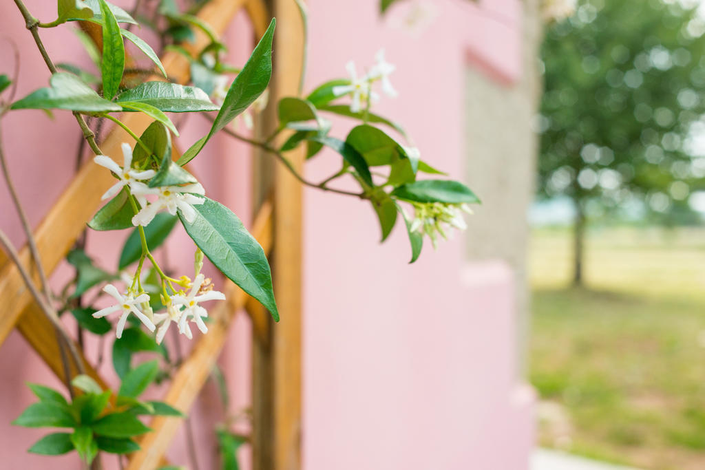 The Monna Lisa Resort Arezzo Exterior photo